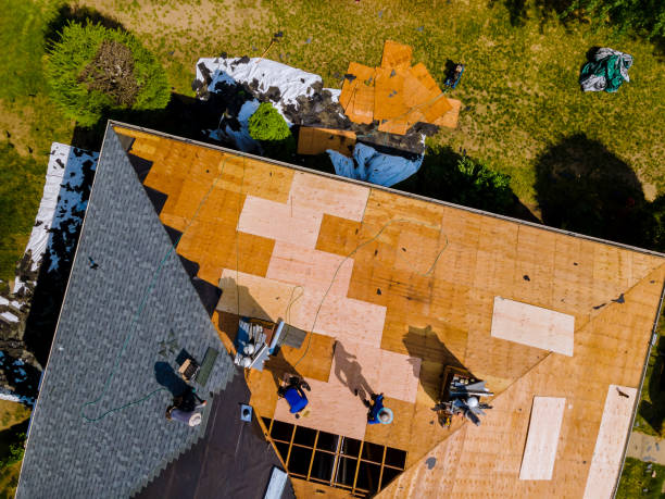 Best Roof Repair Specialists  in South Run, VA