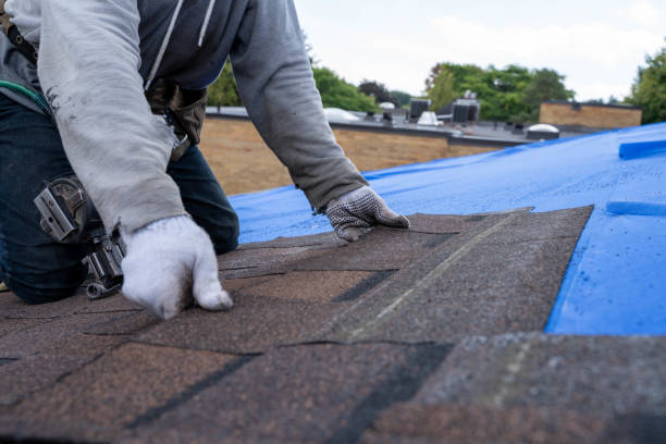 Best Roof Leak Repair  in South Run, VA