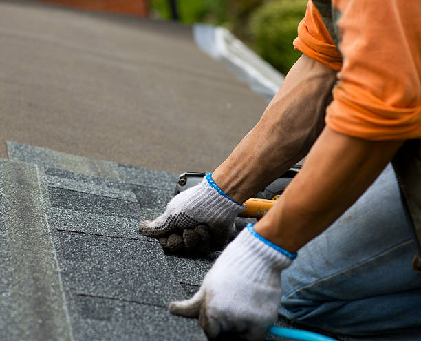 Best Roof Maintenance Services  in South Run, VA
